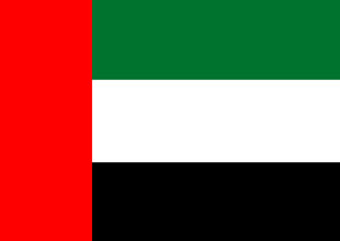 dubai_flag